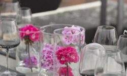 Geranio Summer Party