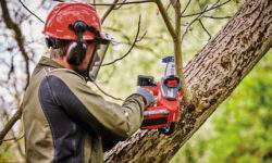 Motosega 18-20 di Einhell