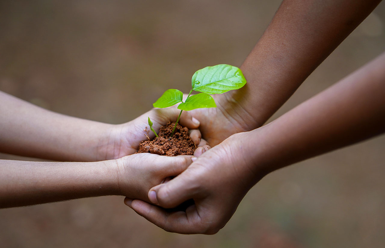 mani di mamma e bambino con terra e piantina