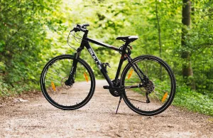 bicicletta nel bosco