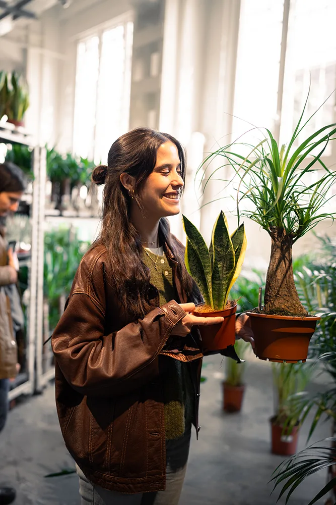 PIANTALA: il verde a MILANO