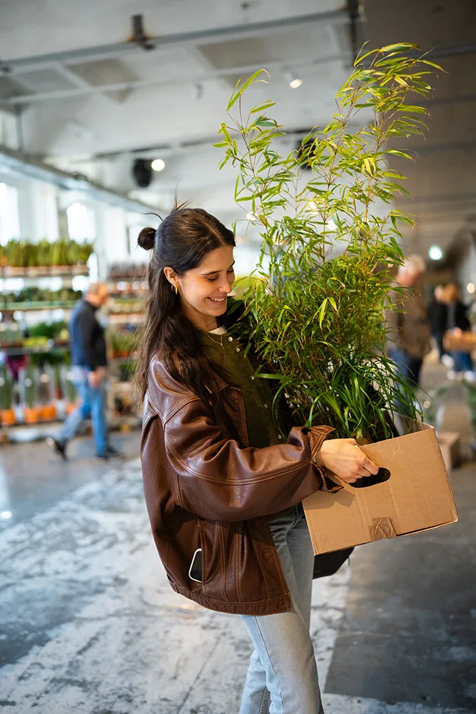 PIANTALA: il verde a MILANO