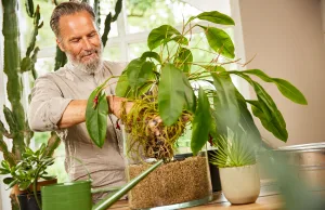 COMPO-Granuplant