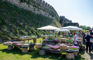 Fiori-nella-Rocca-2026