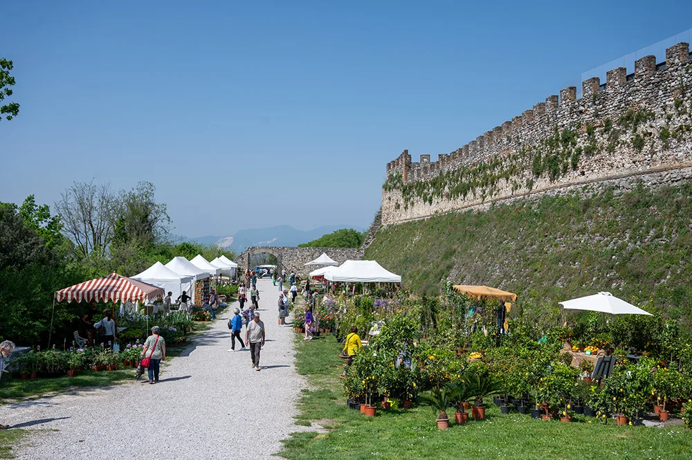 Fiori nella Rocca a Lonato del Garda