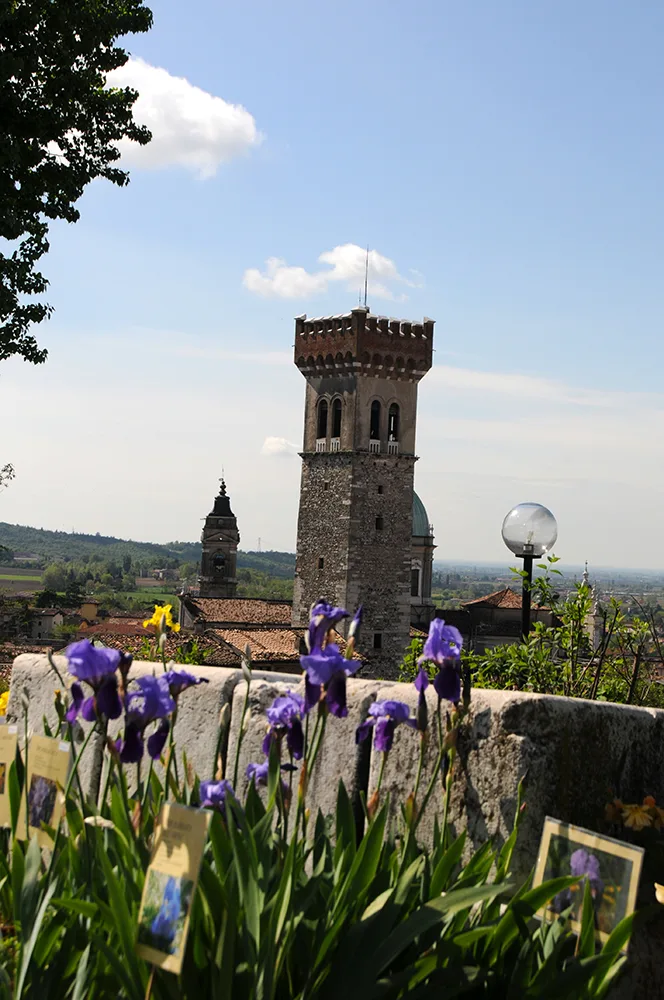 Fiori nella Rocca a Lonato del Garda