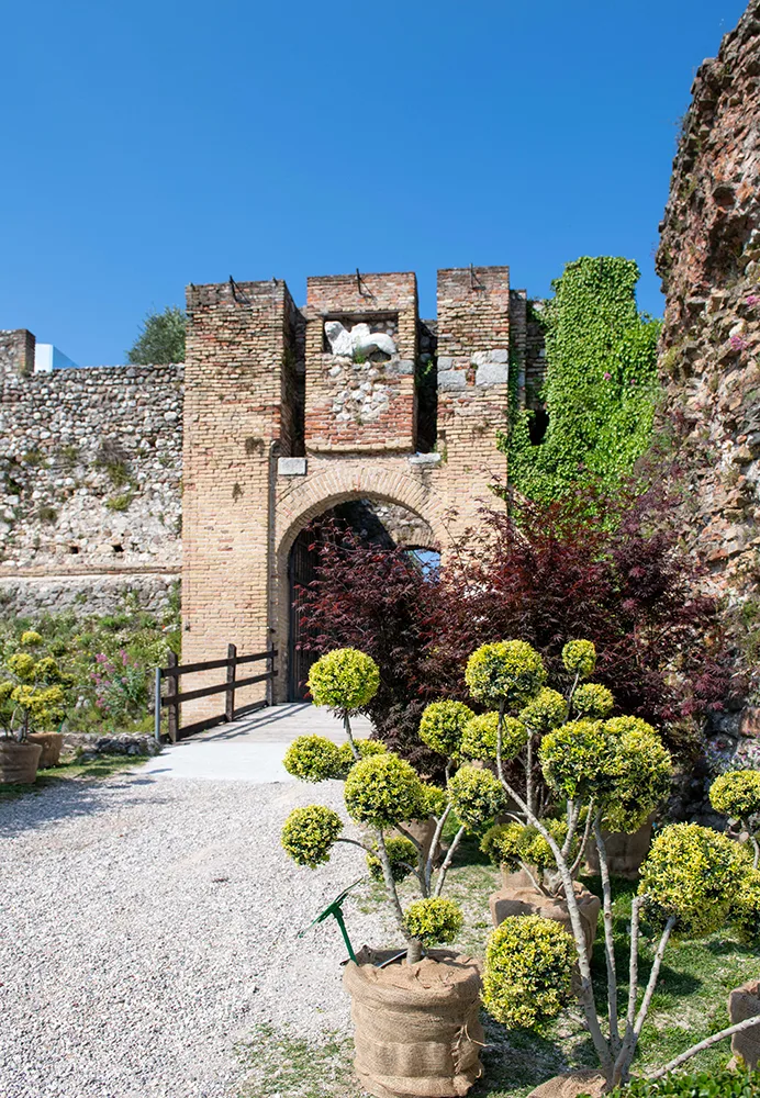 Fiori nella Rocca a Lonato del Garda