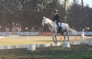 cavallo e fantino